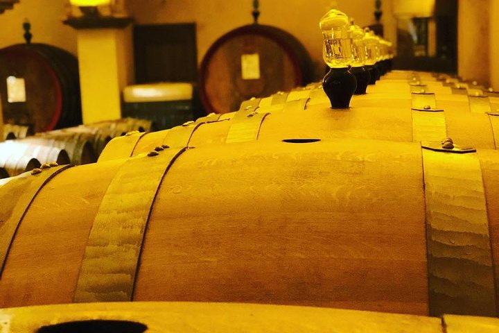 Private Top Brunello Montalcino Wine Tour & Food Pairing Session