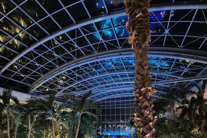 Entrance ticket to Therme Elysium with private tour