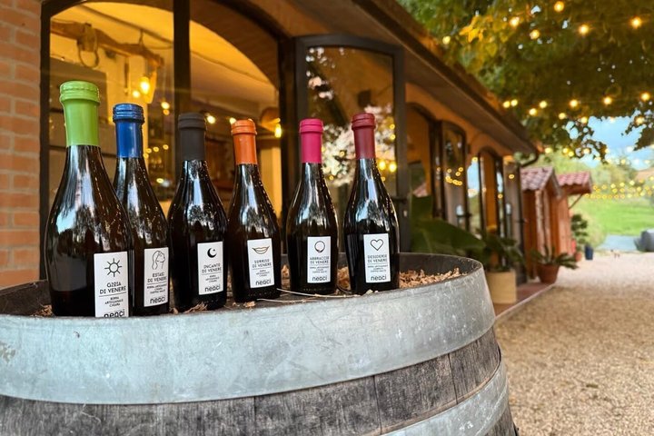 Tasting of Craft Beers in Tuscany
